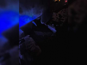 ASSROCKET bongacams stream image